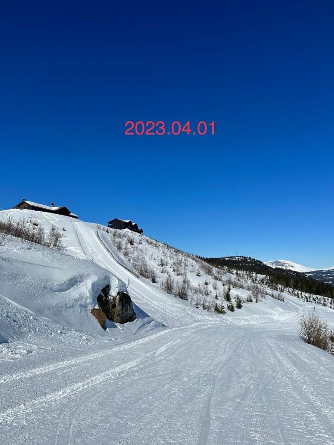 Perfect Moutain Getaway! Beautiful Apartment At Skagahogdi With Panoramic View Гуль Экстерьер фото