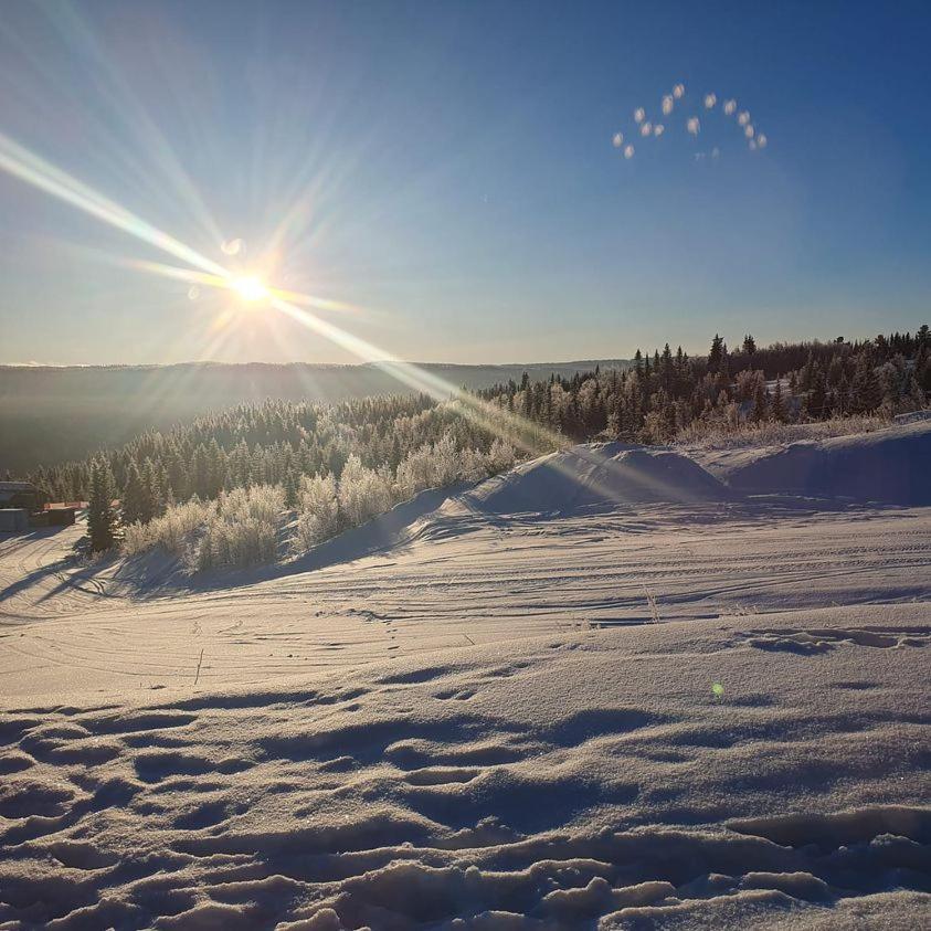 Perfect Moutain Getaway! Beautiful Apartment At Skagahogdi With Panoramic View Гуль Экстерьер фото
